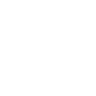 icon facebook