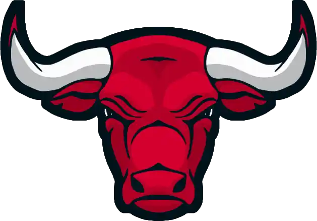 logo team